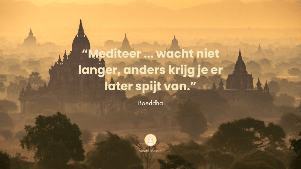 Quote Boeddha Meditatie