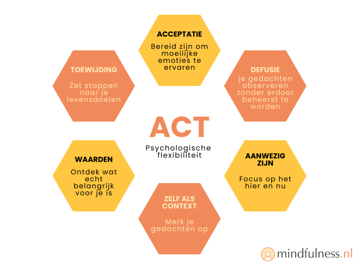 ACT Therapie Mindfulness Nl