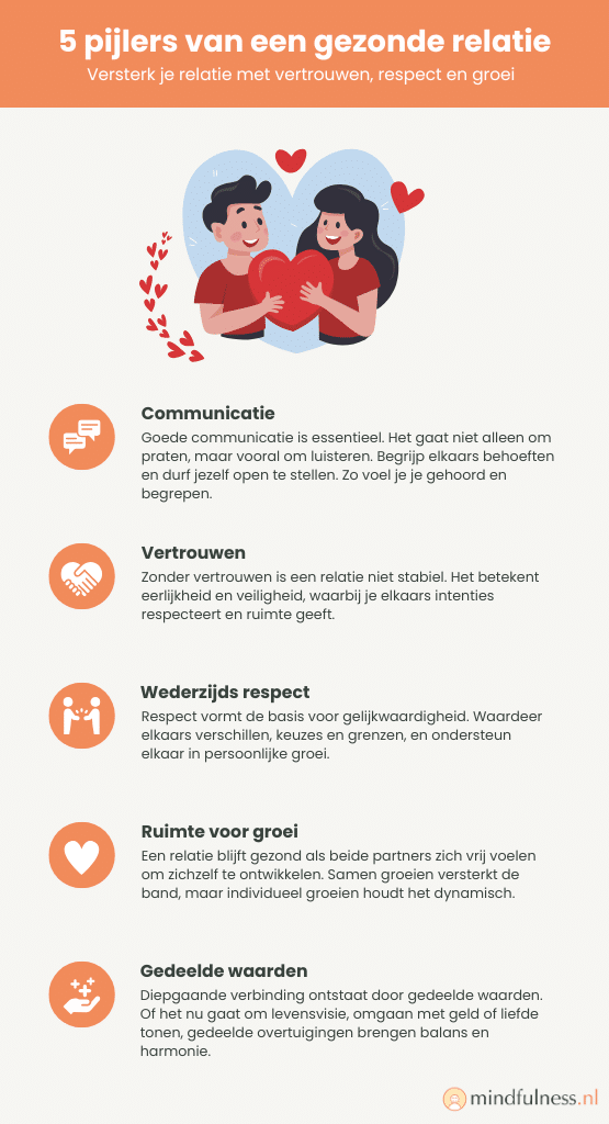 Infographic over de 5 pijlers van een gezonde relatie, met de focus op communicatie, vertrouwen, wederzijds respect, ruimte voor groei en gedeelde waarden. Elke pijler is voorzien van een korte beschrijving en een bijpassend icoon. De infographic benadrukt hoe deze elementen bijdragen aan sterke en gezonde relaties.