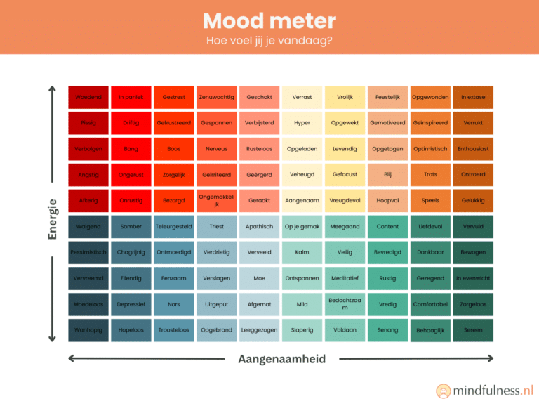 Mood meter diagram met een kleurgecodeerd raster dat emoties categoriseert op basis van energie- en aangenaamheidsniveaus. Het raster bevat vier kwadranten: rood (hoge energie, lage aangenaamheid), geel (hoge energie, hoge aangenaamheid), blauw (lage energie, lage aangenaamheid) en groen (lage energie, hoge aangenaamheid). Emoties zoals boos, angstig, blij, en kalm worden gevisualiseerd.