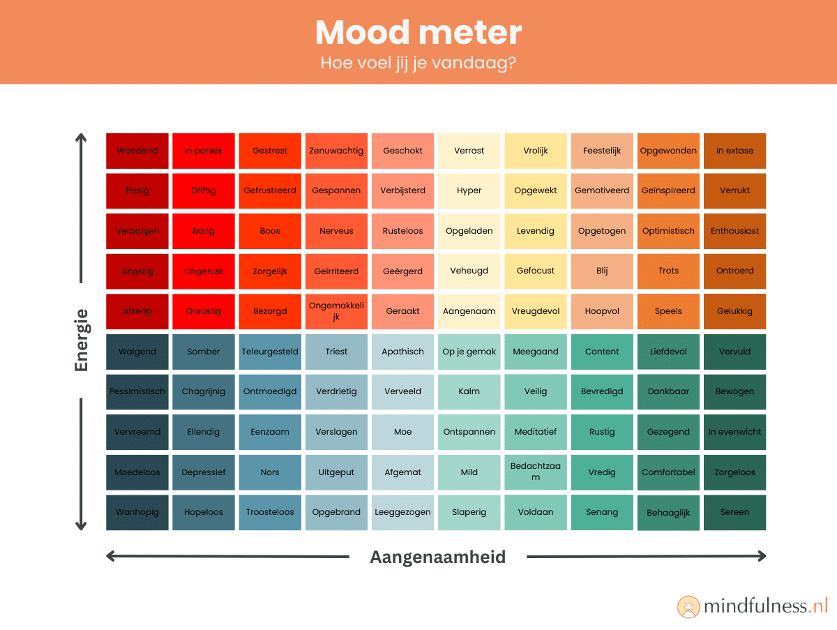 Mood meter diagram met een kleurgecodeerd raster dat emoties categoriseert op basis van energie- en aangenaamheidsniveaus. Het raster bevat vier kwadranten: rood (hoge energie, lage aangenaamheid), geel (hoge energie, hoge aangenaamheid), blauw (lage energie, lage aangenaamheid) en groen (lage energie, hoge aangenaamheid). Emoties zoals boos, angstig, blij, en kalm worden gevisualiseerd.