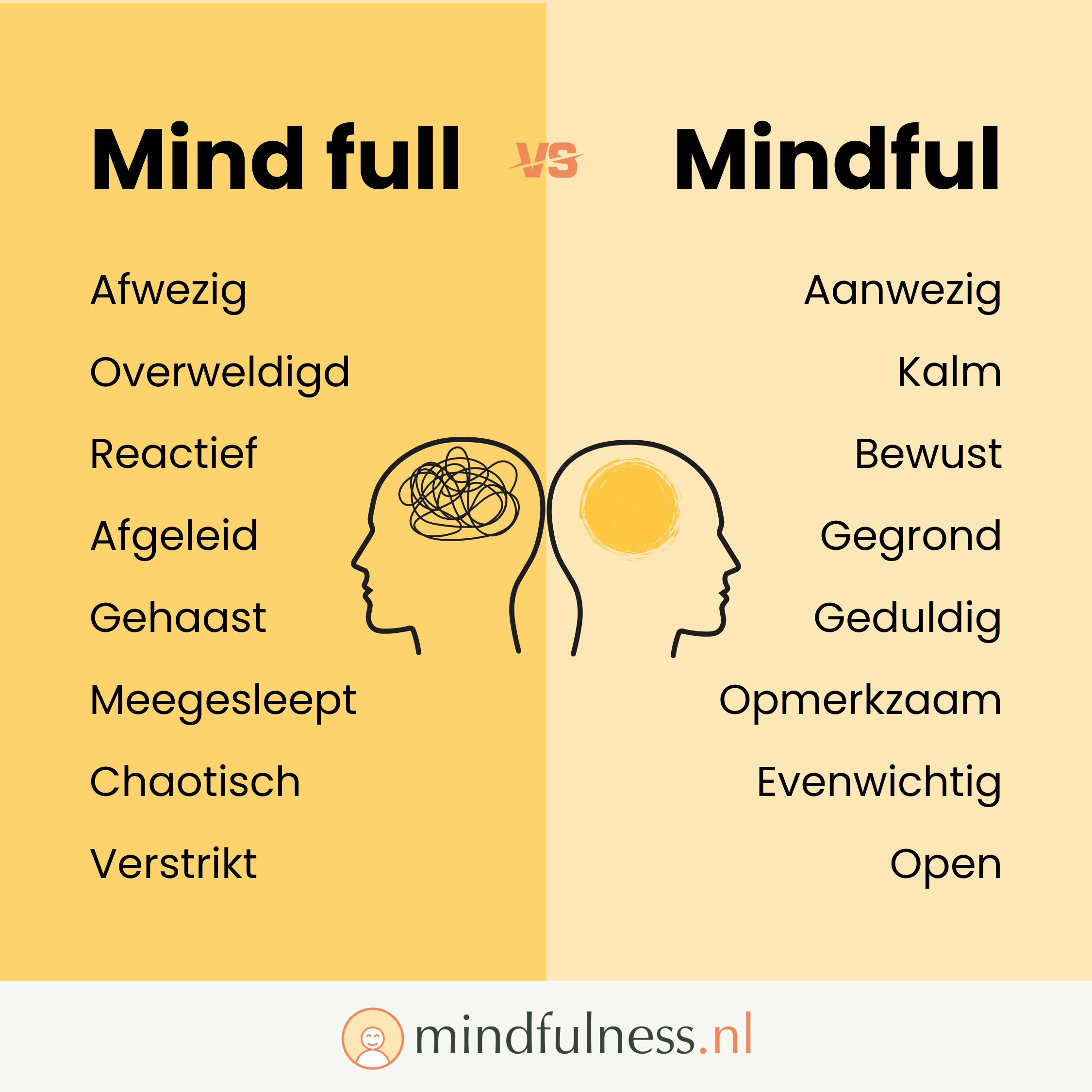 Mood Meter Mindfulness nl